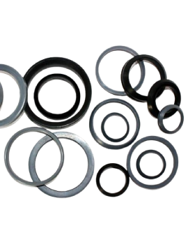 Teflon Seal Manufacturer India